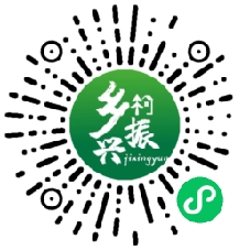 小程序二维码
