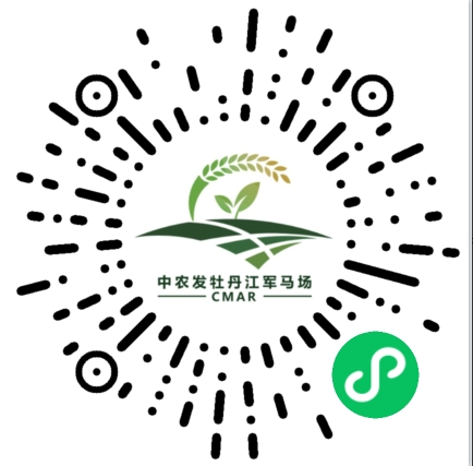 小程序二维码